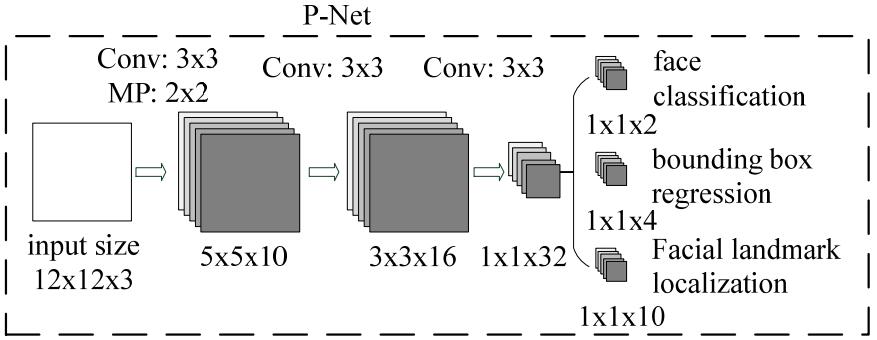 P-Net结构示意